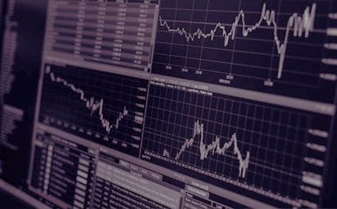 �Cȯ���������b��