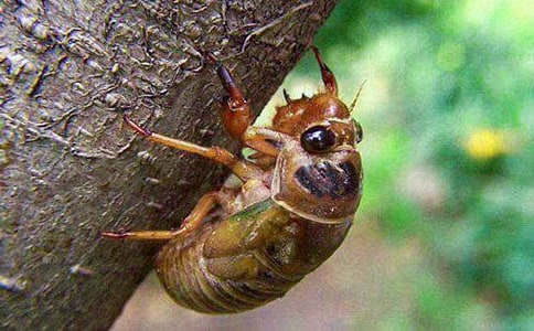 �P(gu��n)��֪�����ĳ��ã�15ƪ��