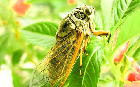 ֪�ˌW(xu��)�wͯԒ����