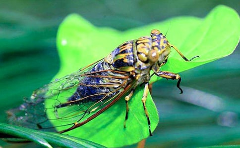 ׽֪�����꼉(j��)���ģ�ͨ��28ƪ��