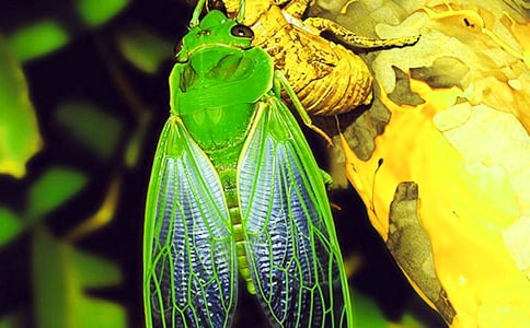 ������ġ�׽֪�ˡ�