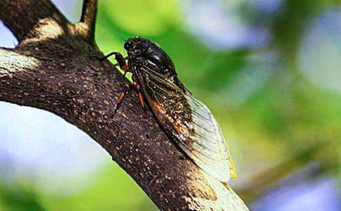 �����x���P(gu��n)��֪������