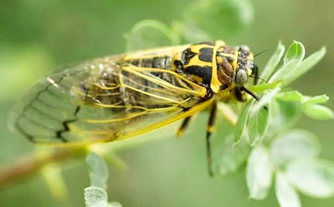 �P(gu��n)��֪�����ľ��A(15ƪ)