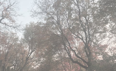 秋天植物園作文(精選28篇)