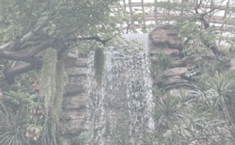 ����ֲ��@����15ƪ