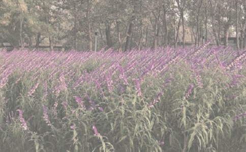 �����ֲ��@����