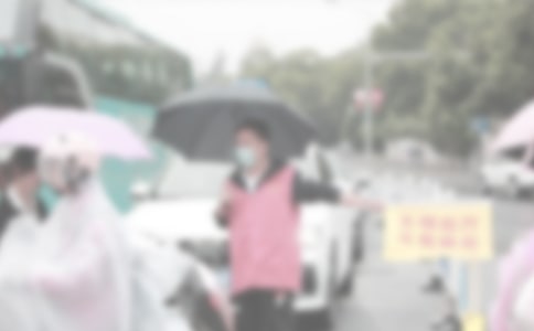 志愿者活動方案集合15篇