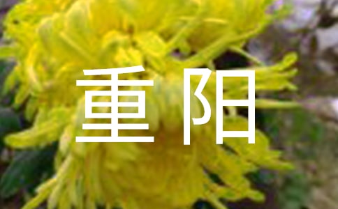重陽(yáng)佳節(jié)活動(dòng)方案(精選5篇)