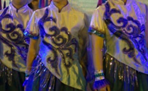 有關(guān)壯族的作文