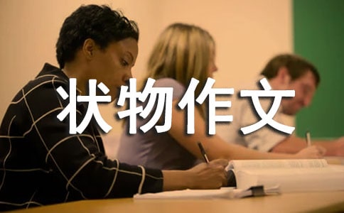 我是如此地熱愛我的主人-狀物作文