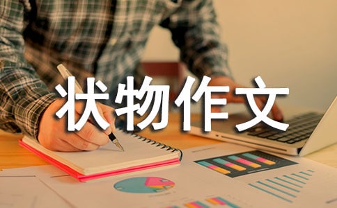 【精選】四年級(jí)狀物作文集合7篇