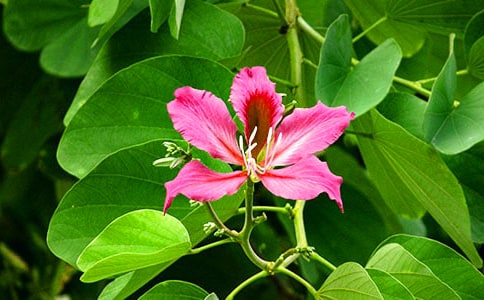 ���G��������[�؂�4ƪ]