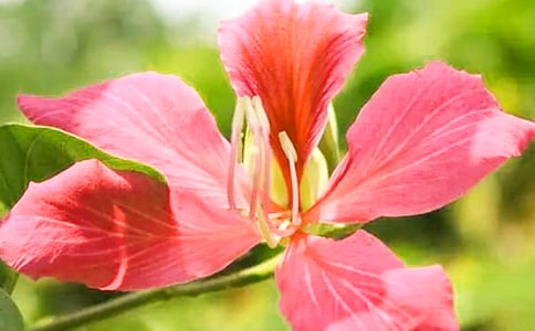 (��)���G��������