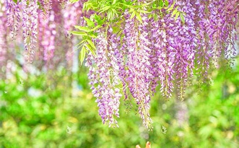 ���ٻ�������4ƪ(��(y��u)�x)