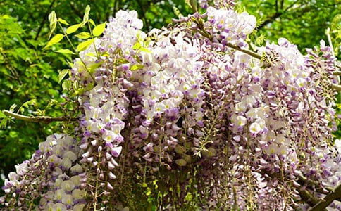 ���ٻ�������4ƪ[�]]