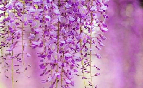 ���ٻ�����[���A]