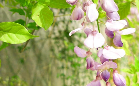 [����]���ٻ�����