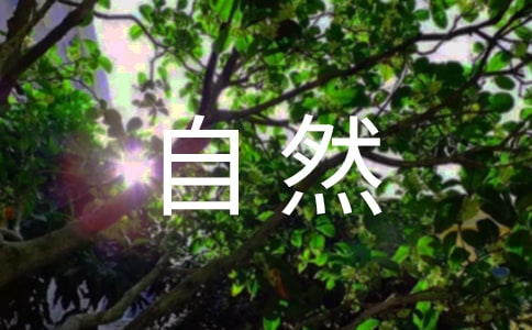 С�W(xu��)��(5)��Ȼ�༉(j��)�̌W(xu��)Ӌ(j��)��