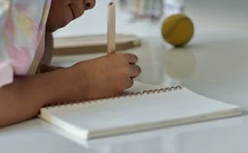 過年的作文1000字