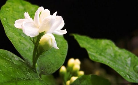 �����_���ф�(d��ng)ɢ��