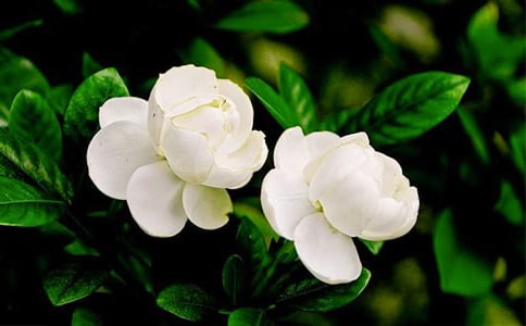 �����^����ӛ