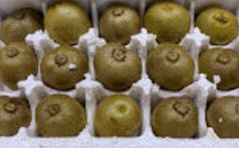 ���l(xi��ng)�īJ��������