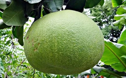 ���Ӱ�������