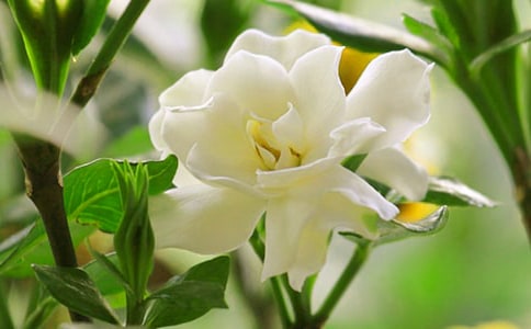 �d�ӻ��_���^����ӛ