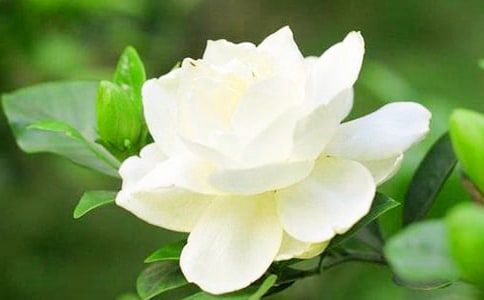 �^��d�ӻ���ӛ��ͨ��44ƪ��