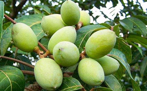 �ϙ��ͳ��ˌ�������Σ������ô�Ը�������