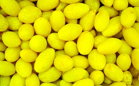 ������ɫ���ϙ�G��(y��u)������