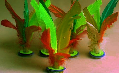 ���(li��n)ِ�������Y(ji��)����