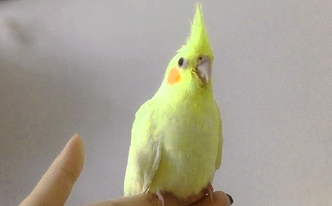 �ҵ��W�^����