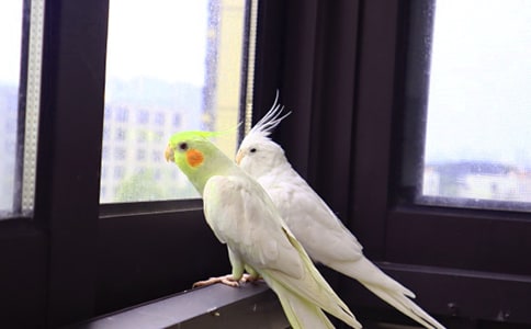 �W�^�^����ӛ�����x5ƪ��