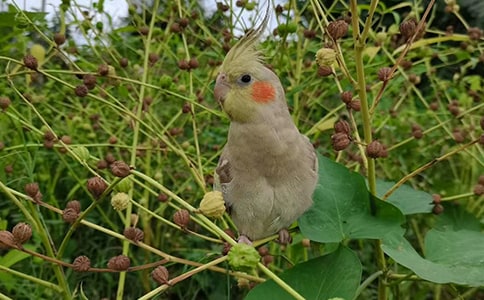 �W�^�^����ӛ15ƪ