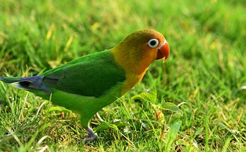 �����T(m��n)���W�^�^����ӛ