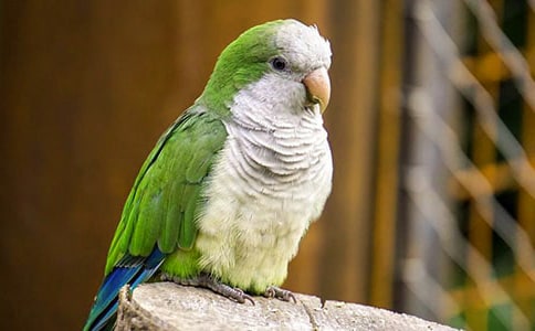 2022���W�^�^����ӛ15ƪ