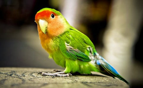 �W�^�^����ӛ5�t