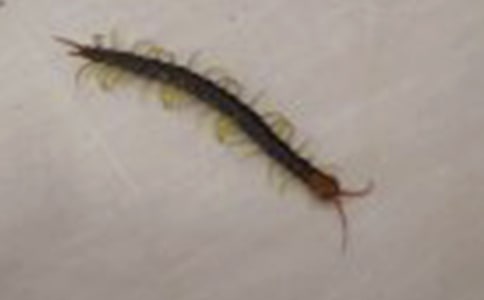 ���̰�����򼸂�ߡ�