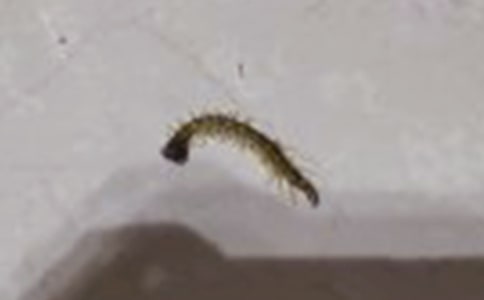 ����w����ӿ옷��С���̰�