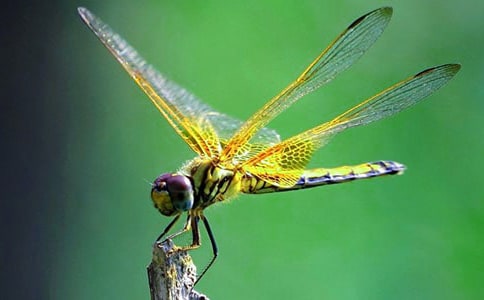 �P(gu��n)�����ѵ��^����ӛ��ͨ��10ƪ��