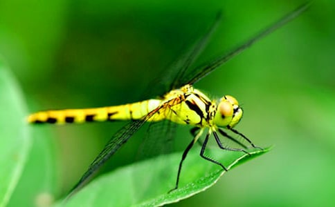 ���P(gu��n)���ѵ��^����ӛ