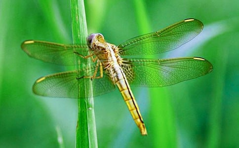 �аࡶ����ͣһ�����ĿƌW(xu��)�̰��O(sh��)Ӌ(j��)