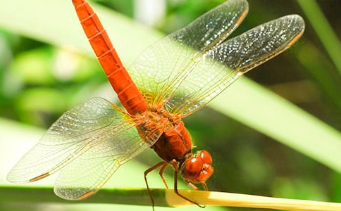 [��(sh��)��]�P(gu��n)�����ѵ�����15ƪ