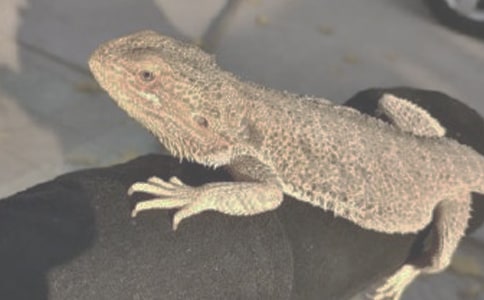 ��������300�֣����x24ƪ��