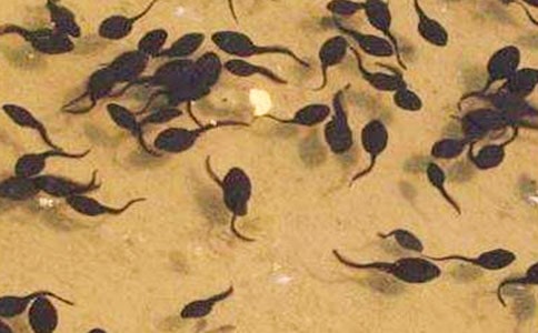 С����^����ӛ