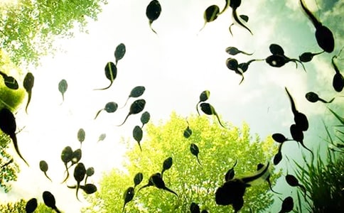 С����ҋ����̰�