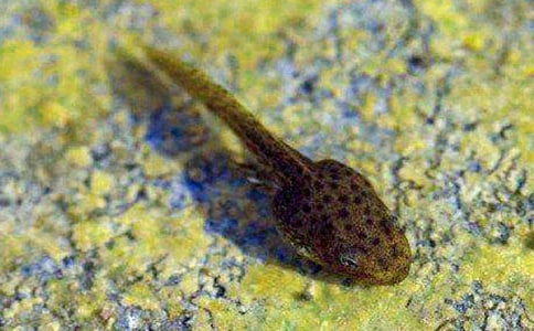 С�������