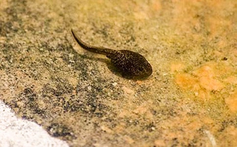 ����^����ӛ