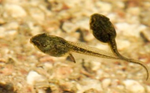 С���v�U(xi��n)ӛ��������